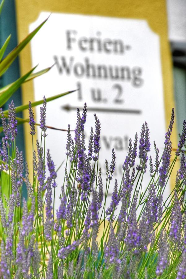 Pension Thermenland Loipersdorf bei Fuerstenfeld Luaran gambar